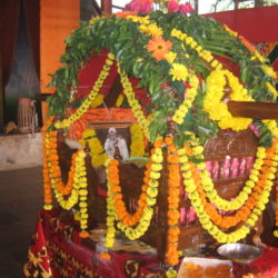 om-shri-sai-sevak-padayatra-mandaltrust-1